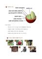 KCU 커피와 바리스타 족보 14페이지