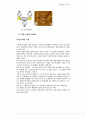 Graphene그래핀, CNT조사 (성질, 합성, 제조, 응용분야, 대체 가능성) 15페이지