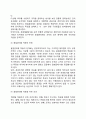 자치경영체제의 효율적 경영전략(지방정부의 전략적 기획 및 관리) 3페이지