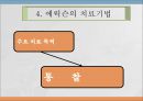 에릭슨Ericsson, John의 심리사회적 이론 10페이지