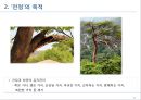 전정에 대한 모든 것 6페이지