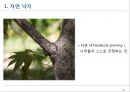 전정에 대한 모든 것 18페이지