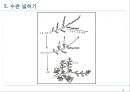 전정에 대한 모든 것 22페이지