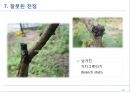 전정에 대한 모든 것 24페이지