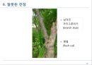 전정에 대한 모든 것 26페이지