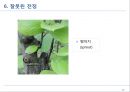 전정에 대한 모든 것 27페이지