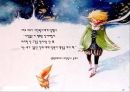 전정에 대한 모든 것 29페이지