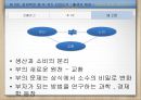 [시장의 경제, 노동의 경제] 두 개의 경제학  12페이지