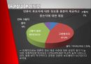17대 대선의 선거 캠페인과 미디어 효과  10페이지
