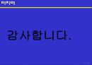 유니더스 콘돔의 광고계획 31페이지