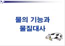 젖소에 있어서 물의 중요성(Water for Dairy Cattle) 7페이지