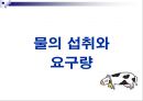 젖소에 있어서 물의 중요성(Water for Dairy Cattle) 9페이지