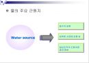 젖소에 있어서 물의 중요성(Water for Dairy Cattle) 10페이지