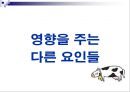 젖소에 있어서 물의 중요성(Water for Dairy Cattle) 13페이지