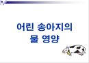 젖소에 있어서 물의 중요성(Water for Dairy Cattle) 20페이지