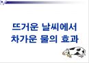 젖소에 있어서 물의 중요성(Water for Dairy Cattle) 24페이지