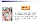 젖소에 있어서 물의 중요성(Water for Dairy Cattle) 25페이지
