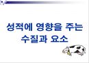 젖소에 있어서 물의 중요성(Water for Dairy Cattle) 38페이지