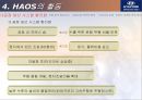 현대자동차 터키진출 사례  15페이지