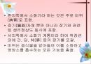 소화기계질환 2페이지
