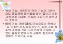 소화기계질환 3페이지