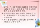 소화기계질환 4페이지