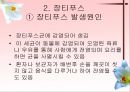 소화기계질환 7페이지