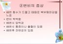 소화기계질환 17페이지