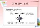 소화기계질환 19페이지