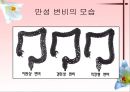 소화기계질환 20페이지