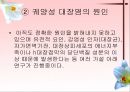소화기계질환 32페이지