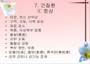 소화기계질환 37페이지