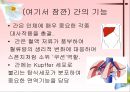 소화기계질환 38페이지