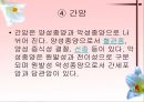 소화기계질환 41페이지