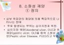소화기계질환 42페이지