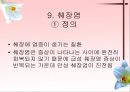 소화기계질환 46페이지