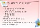 소화기계질환 50페이지