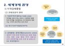 [경제통합] 다국적 기업의 경영환경,일반적 경영환경 12페이지
