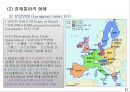 [경제통합] 다국적 기업의 경영환경,일반적 경영환경 13페이지