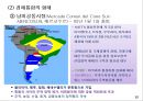 [경제통합] 다국적 기업의 경영환경,일반적 경영환경 17페이지