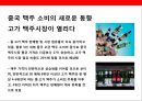 중국 맥주 시장의 이해& 맥주 메이저 3개 브랜드 성공사례 19페이지