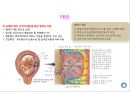 임신기영양 PPT(임신부영양, 임신기, 태반, 양수의역할, 수유부영양) 3페이지