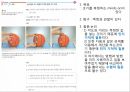 실험實驗과정에서의과학적소양 4페이지
