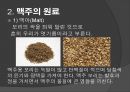 맥주의 제조공정 4페이지