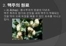 맥주의 제조공정 5페이지