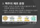맥주의 제조공정 8페이지