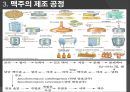 맥주의 제조공정 10페이지