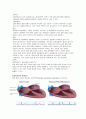 성인간호학 Case study-빈맥서맥 증후군 3페이지