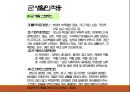 청년기정신건강론(성인초기정신건강, 전공과진로, 이성교제, 음주와생활습관, 군생활적응)PPT, 파워포인트 45페이지