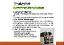 청년기정신건강론(성인초기정신건강, 전공과진로, 이성교제, 음주와생활습관, 군생활적응)PPT, 파워포인트 51페이지